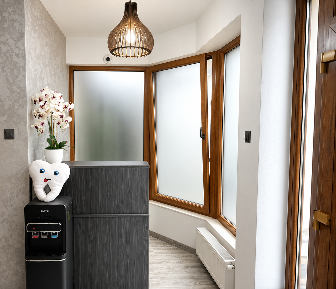 Receptia cabinetului Dental Maria Veselin — intrare primitoare cu lumina calda